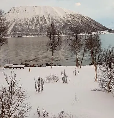 Lykkebo, Skjoldehamnveien 1151, Nygard, Andoy شاليه Risoyhamn