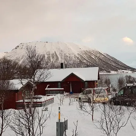 Lykkebo, Skjoldehamnveien 1151, Nygard, Andoy *