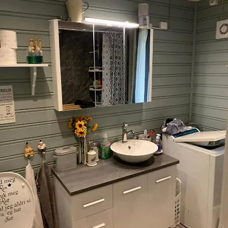 Lykkebo, Skjoldehamnveien 1151, Nygard, Andoy Risoyhamn