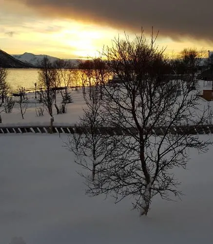 Lykkebo, Skjoldehamnveien 1151, Nygard, Andoy 木屋