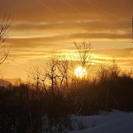 Lykkebo, Skjoldehamnveien 1151, Nygard, Andoy Chalet Risoyhamn