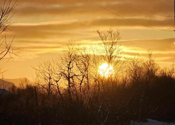 Lykkebo, Skjoldehamnveien 1151, Nygard, Andoy Chalet Risoyhamn